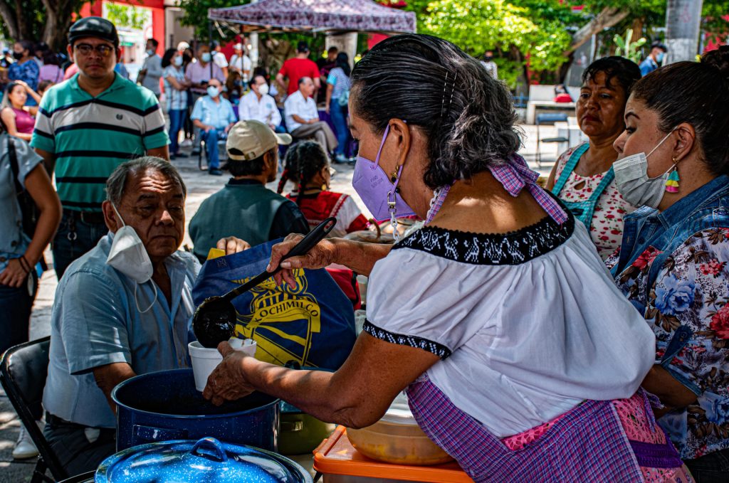 Celebran en Chiapas feria dedicada a la hormiga comestible - feria-dedicada-a-hormiga-comestible-se-celebra-en-estado-mexicano-de-chiapas-3-1024x679