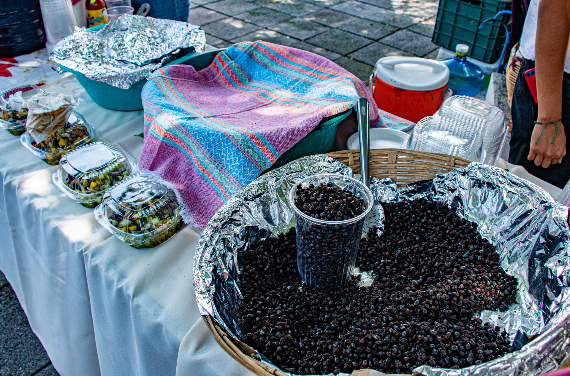 Celebran en Chiapas feria dedicada a la hormiga comestible Celebran en Chiapas feria dedicada a la hormiga comestible