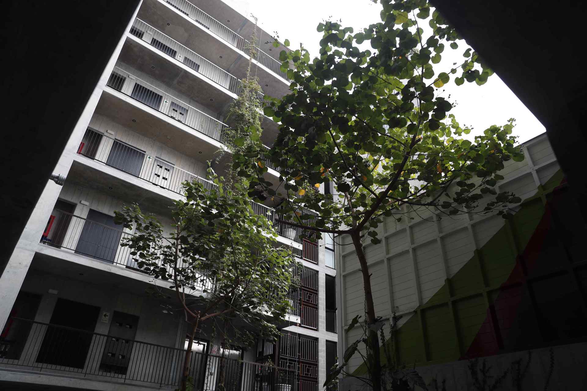 Las viviendas verdes en el corazón de Lima, una opción de futuro para Perú