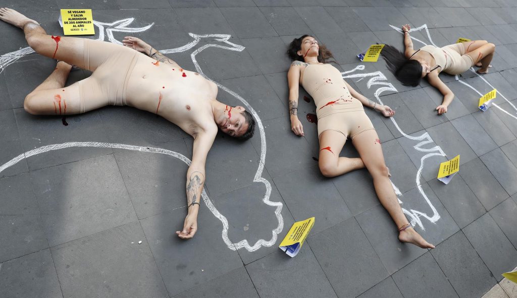 Activistas muestran sufrimiento de animales con "performance" en CDMX - peta-protesta-cdmx-animales-1024x591
