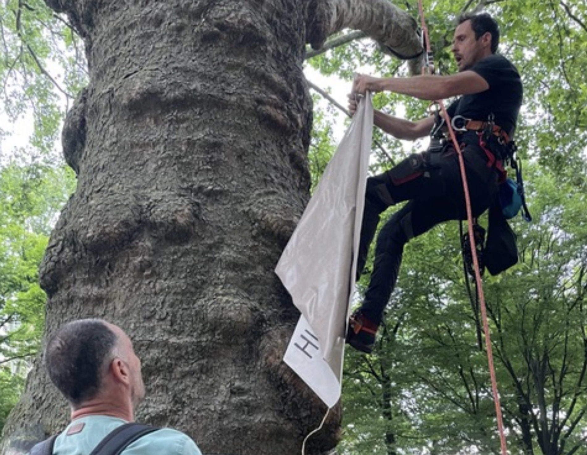 Activista concluye huelga de hambre colgado en un árbol de la Torre Eiffel Activista concluye huelga de hambre colgado en un árbol de la Torre Eiffel