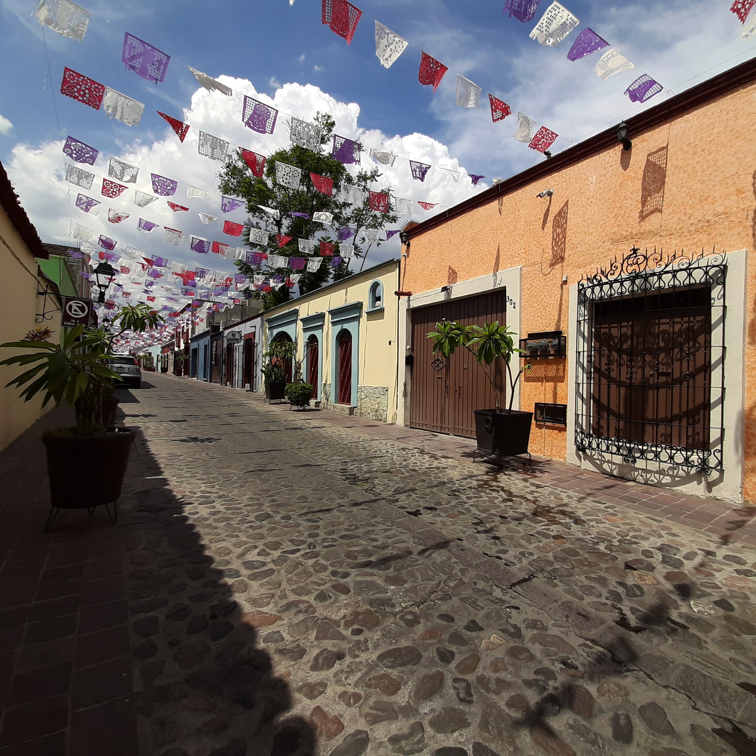 ¿Quiénes son los candidatos al gobierno de Oaxaca?