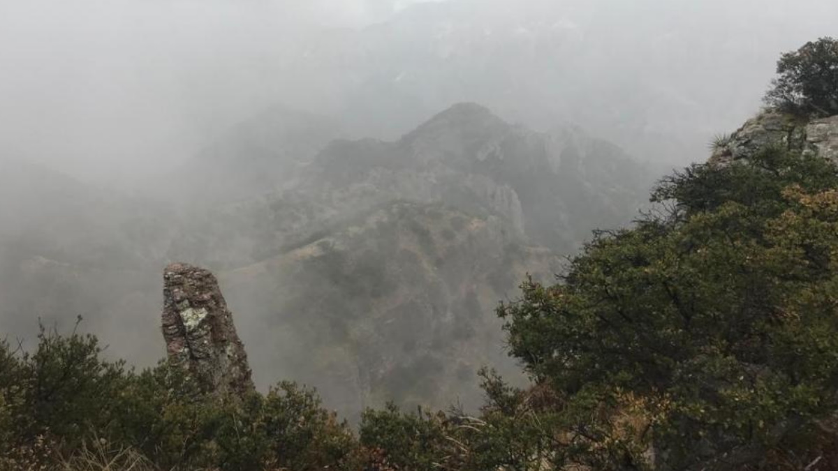 Vicario pide atender la pobreza en la Sierra Tarahumara