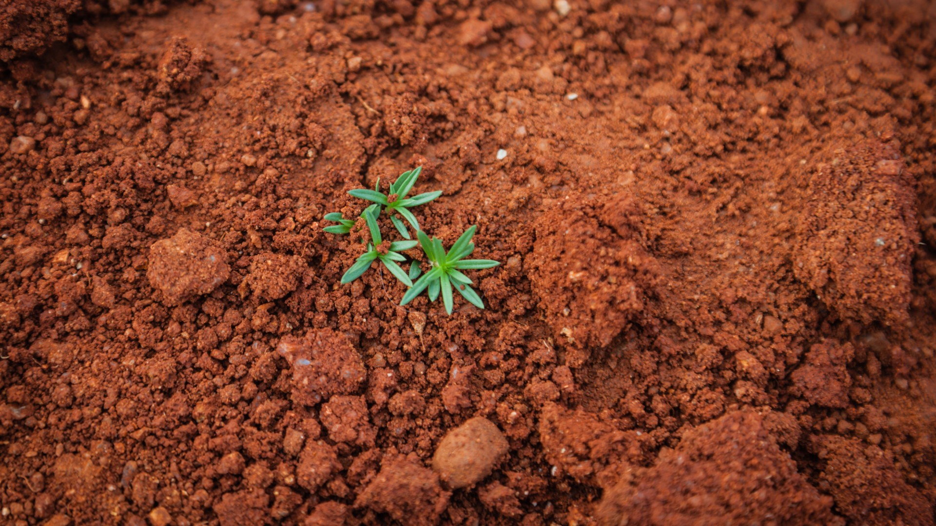 Familia de ocho miembros muere por deslizamiento de tierra en Colombia