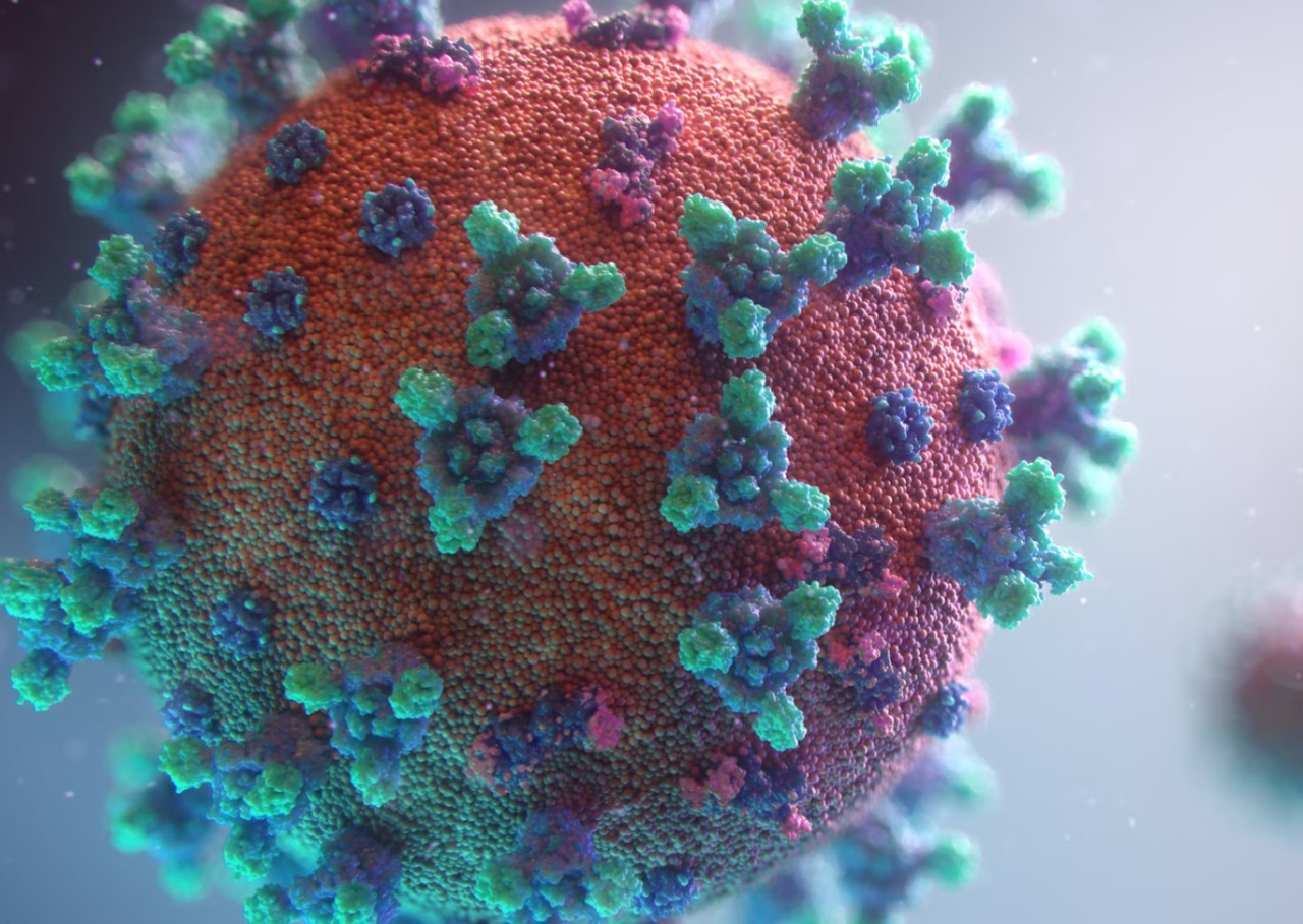 No coinciden datos de las Secretarías de Salud federal y CDMX, explica Erdely