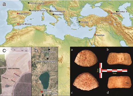 Antepasados del homo sapiens salieron de África en dos eventos migratorios Antepasados del homo sapiens salieron de África en dos eventos migratorios