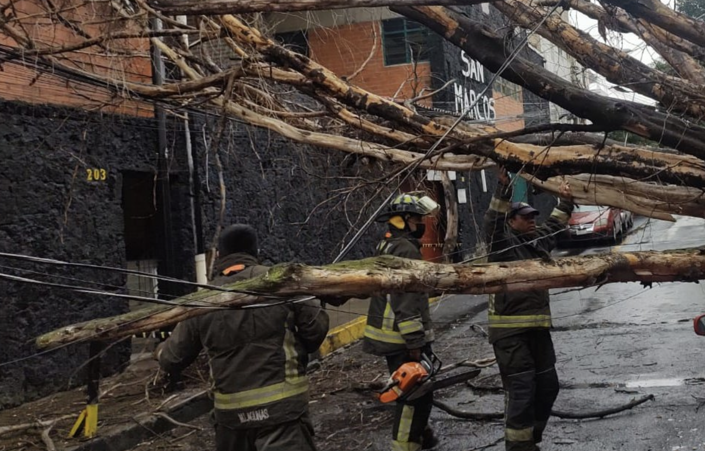 Lluvia provoca afectaciones y caída de árboles en la Ciudad de México
