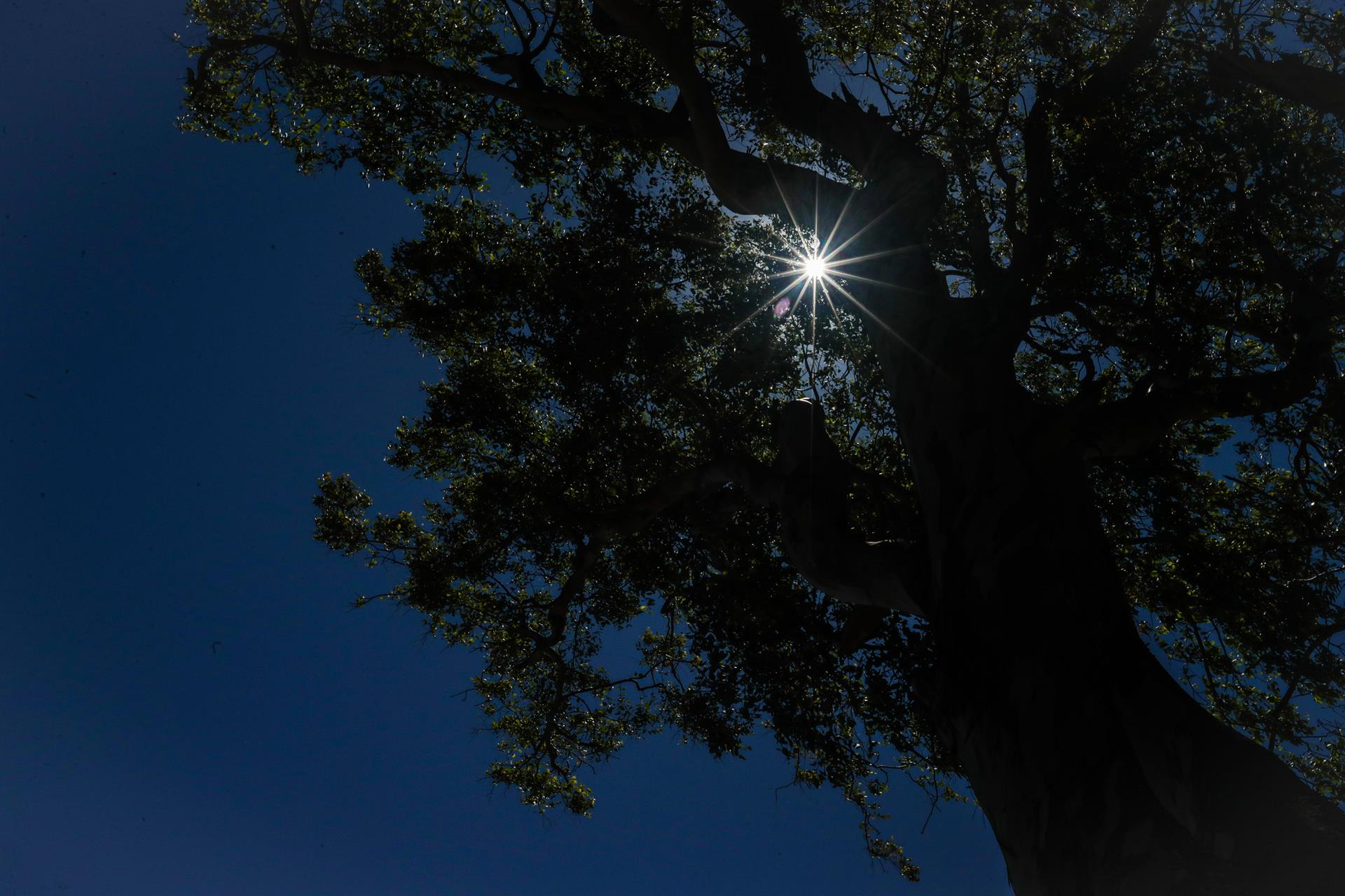Advierten por “calor excesivo” en el oeste de Estados Unidos Advierten por “calor excesivo” en el oeste de Estados Unidos
