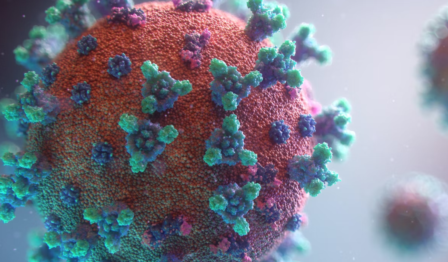 México registró en las últimas 24 horas cuatro mil 209 casos y 17 muertes por COVID-19