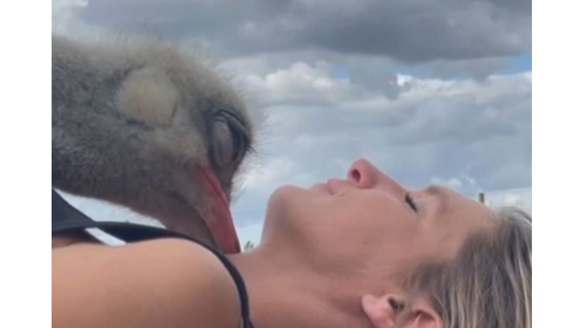 El reencuentro de Wendy y Flooder: siete meses separada de su avestruz