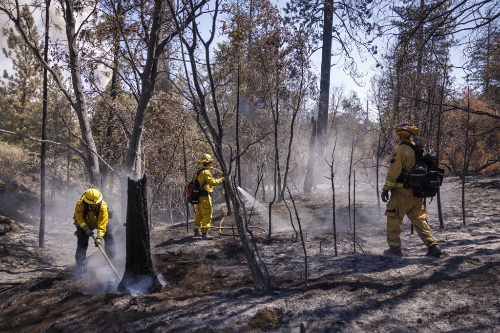 El segundo incendio cerca de Yosemite ha arrasado unas 6 mil 300 hectáreas - el-segundo-incendio-cerca-de-yosemite-ha-arrasado-unas-6-mil-300-hectareas-3-1024x683