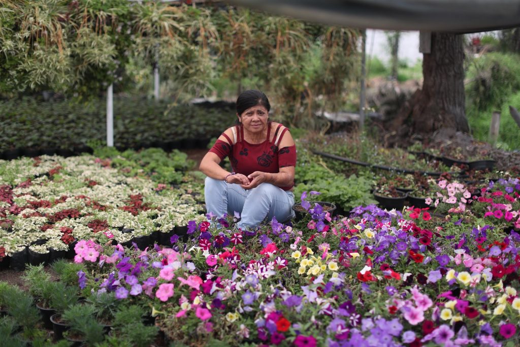Mujeres agredidas con ácido en México, víctimas del sistema y un Estado que las olvida - elisa-xolalpa-sobreviviente-de-ataque-con-acido-por-su-entonces-pareja-1024x683