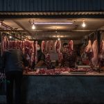 El comercio de especies aumenta la transmisión de patógenos y el riesgo de pandemias