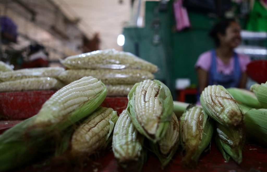 México puede bajar el precio de los alimentos usando un cultivo ancestral, asegura experto
