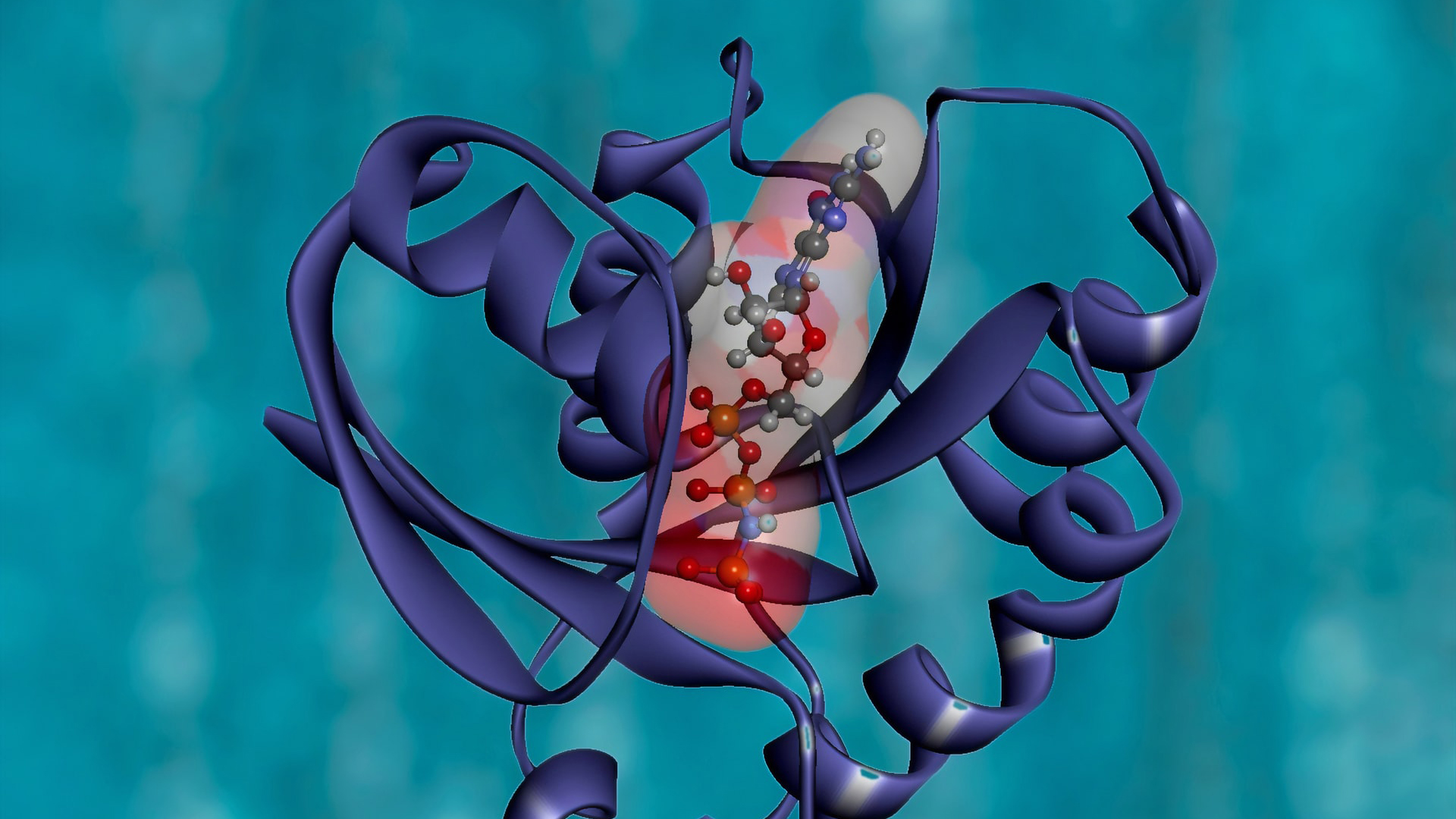 Inteligencia artificial de Google predice la estructura de casi todas las proteínas conocidas