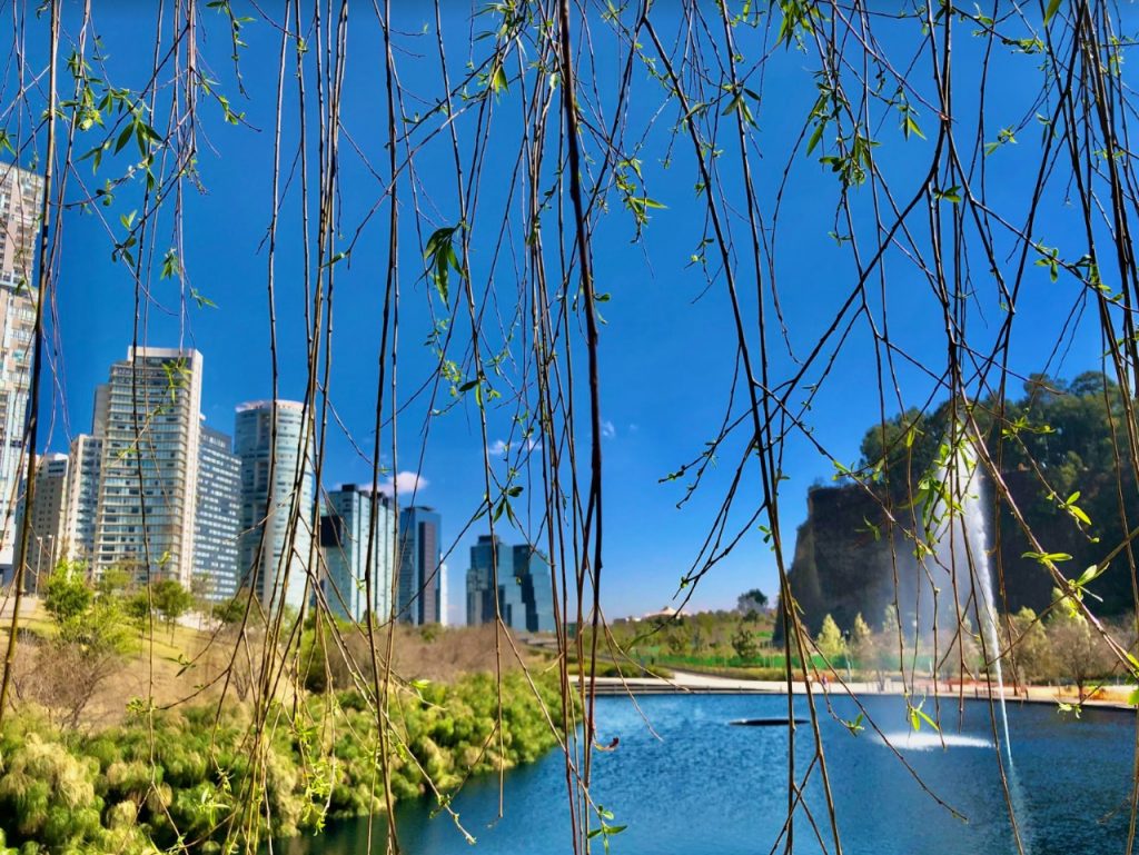 Parque La Mexicana, uno de los tesoros de CDMX - parque-la-mexicana-areas-verdes-1024x769