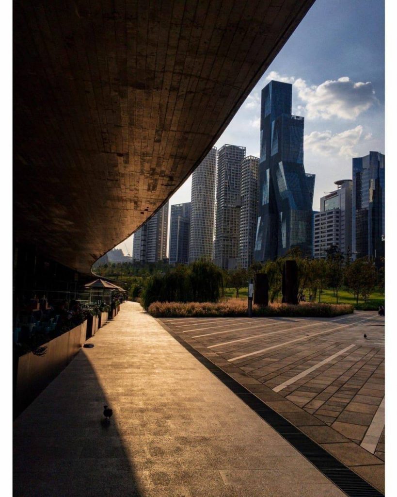 Parque La Mexicana, uno de los tesoros de CDMX - parque-mexicana-819x1024