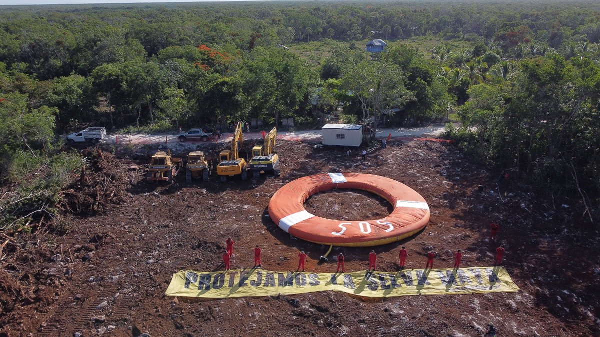 Greenpeace protesta contra reinicio de obras del Tren Maya