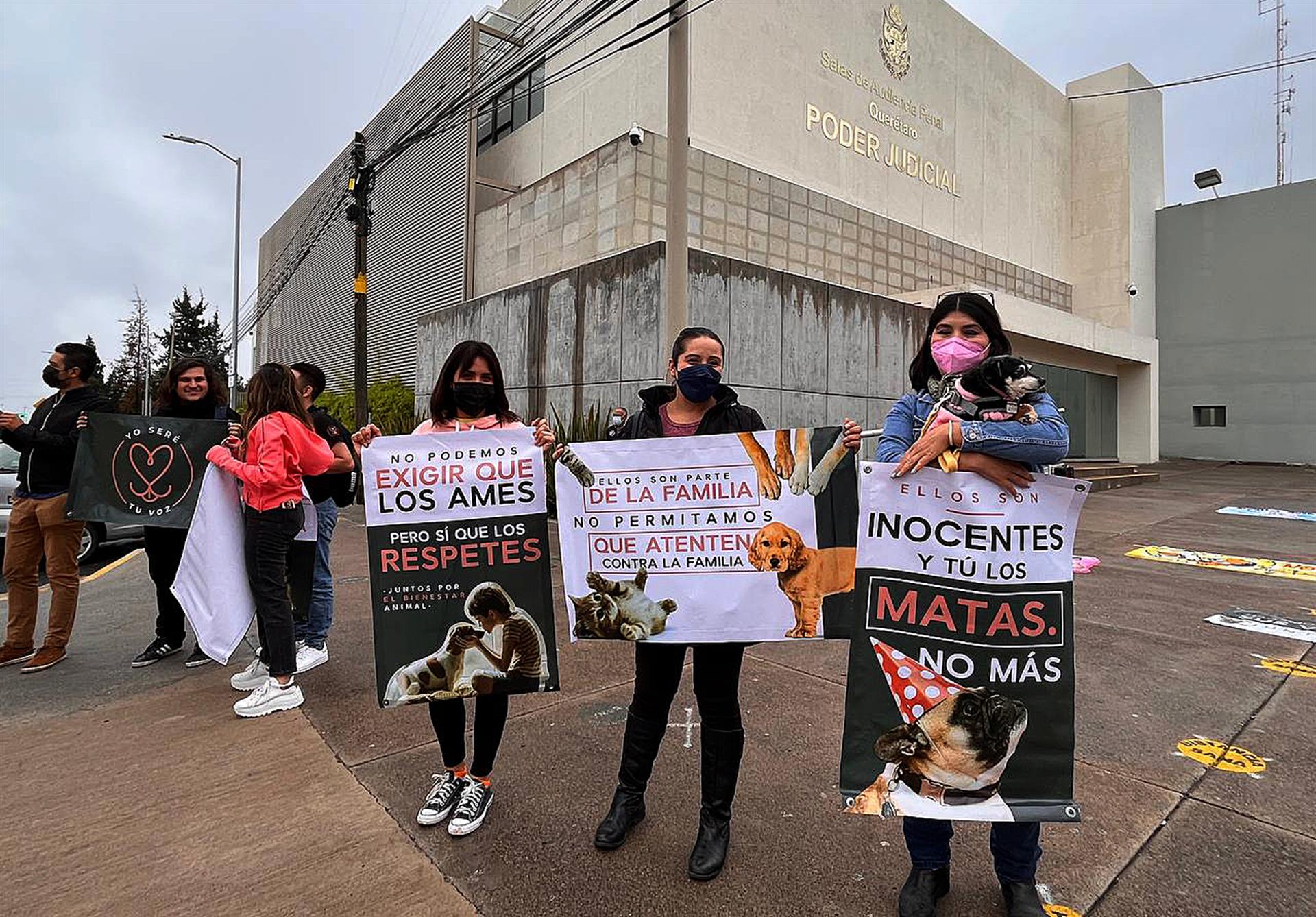 Declaran culpable en Querétaro a asesino de los perros Athos y Tango Declaran culpable en Querétaro a asesino de los perros Athos y Tango