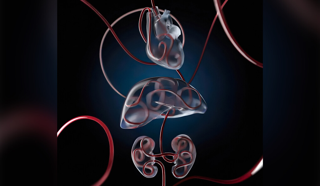 Desarrollan tecnología para restaurar funciones celulares en cerdos muertos