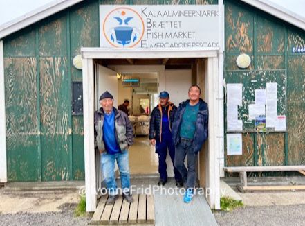 A $150 pesos el kilo de carne de foca en Groenlandia - f3