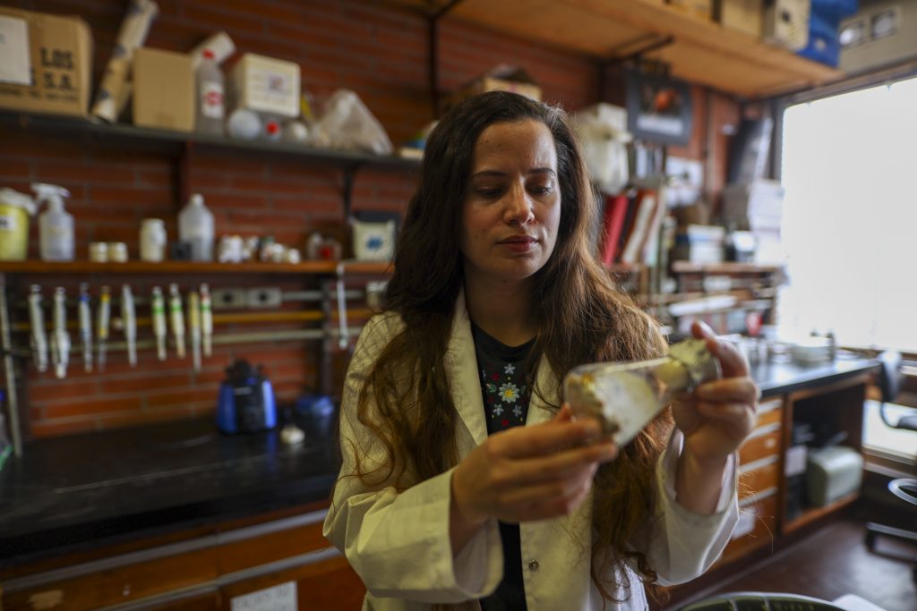 Hongos podrían ser la clave para deshacerse de las colillas de cigarro - hongos-podrian-ser-la-clave-para-deshacerse-de-las-colillas-de-cigarro-1024x683