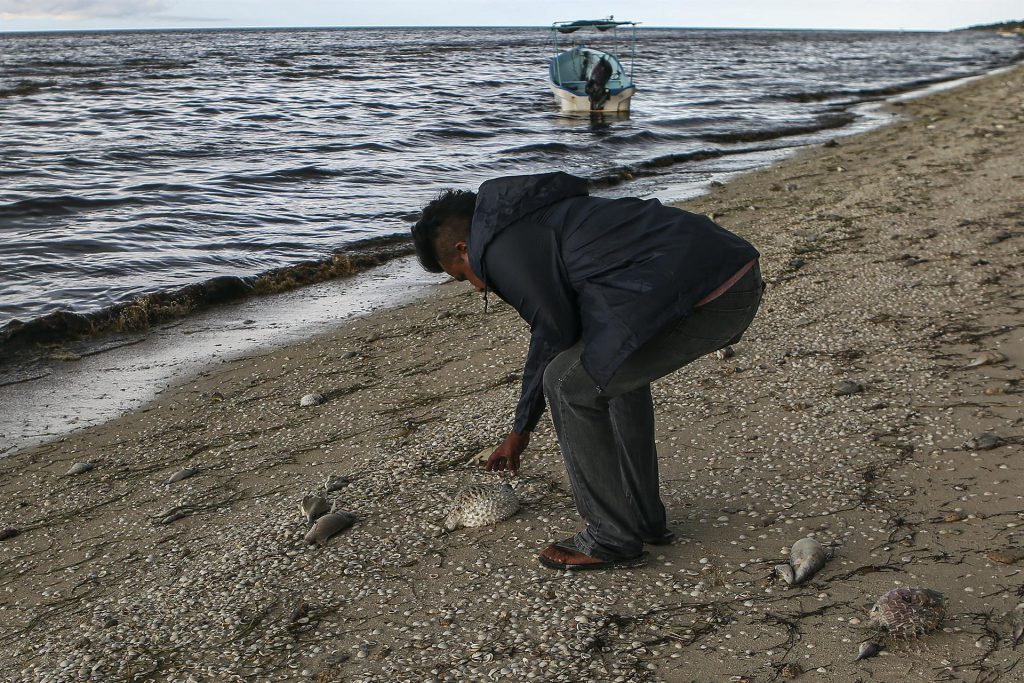 Marea roja hunde economía de pescadores en sureste mexicano - marea-roja-telchac-puerto-yucatan-3-1024x683