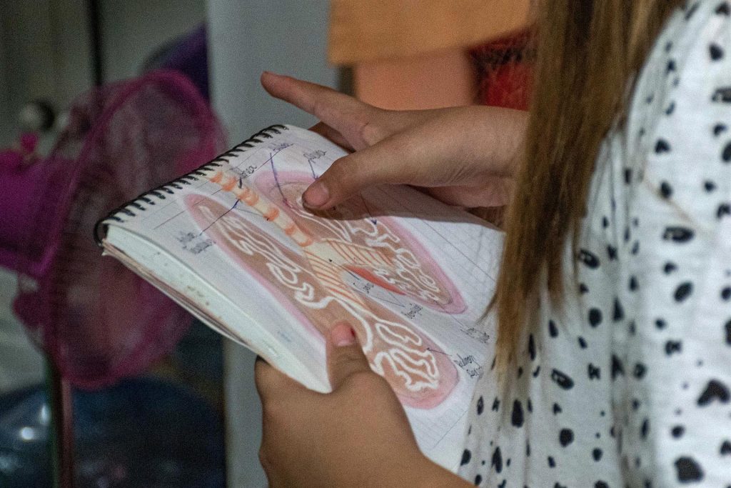 Niña genio mexicana estudiará Medicina en EE.UU. a sus 10 años - michelle-arellano-quiere-curar-el-cancer-pero-tambien-ser-actriz-1024x683