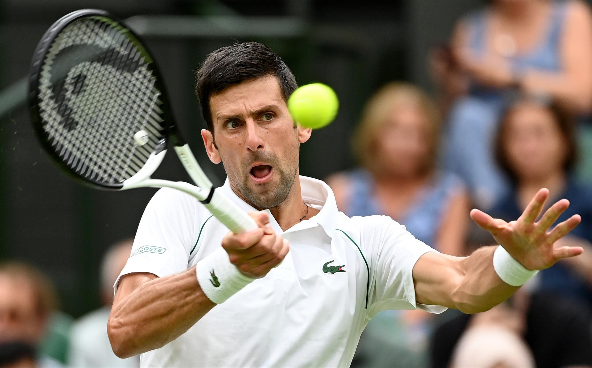Antivacunas convocan a una protesta en solidaridad con Djokovic en el Abierto de EE.UU.