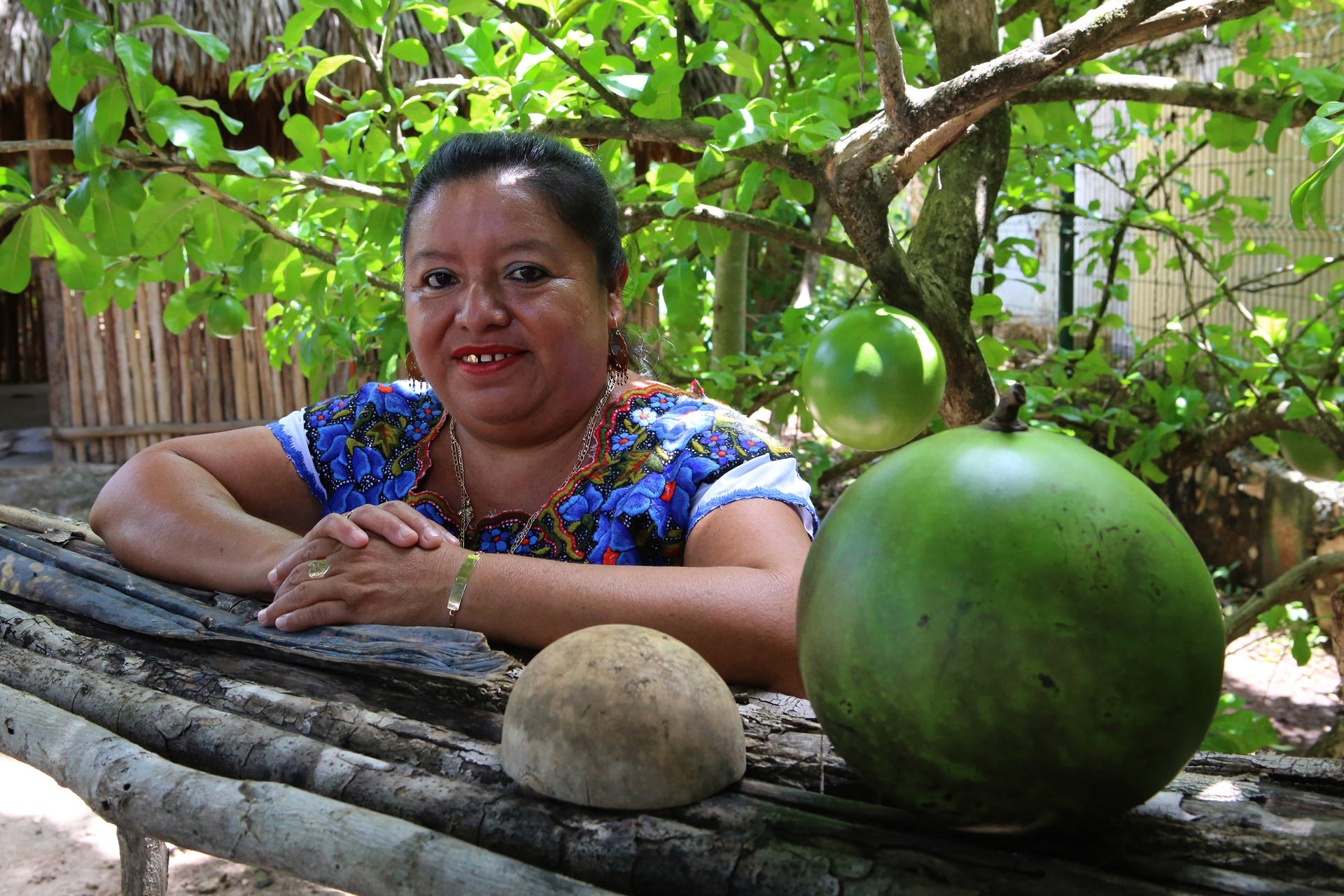 Rosalía Chay, la guardiana de comidas ancestrales del pueblo maya Rosalía Chay, la guardiana de comidas ancestrales del pueblo maya