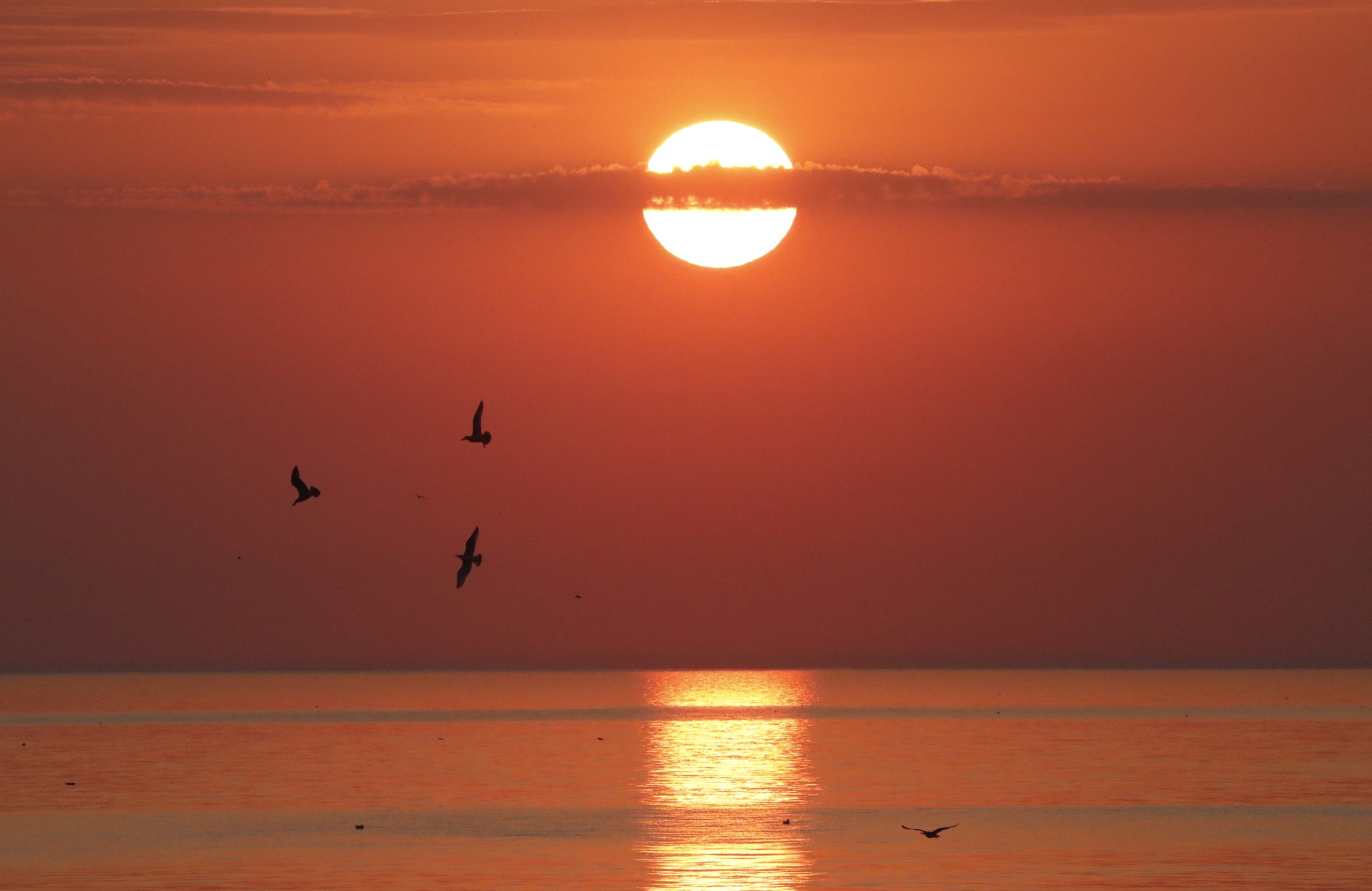 Temperatura de los océanos alcanzó niveles récord en 2021 Temperatura de los océanos alcanzó niveles récord en 2021