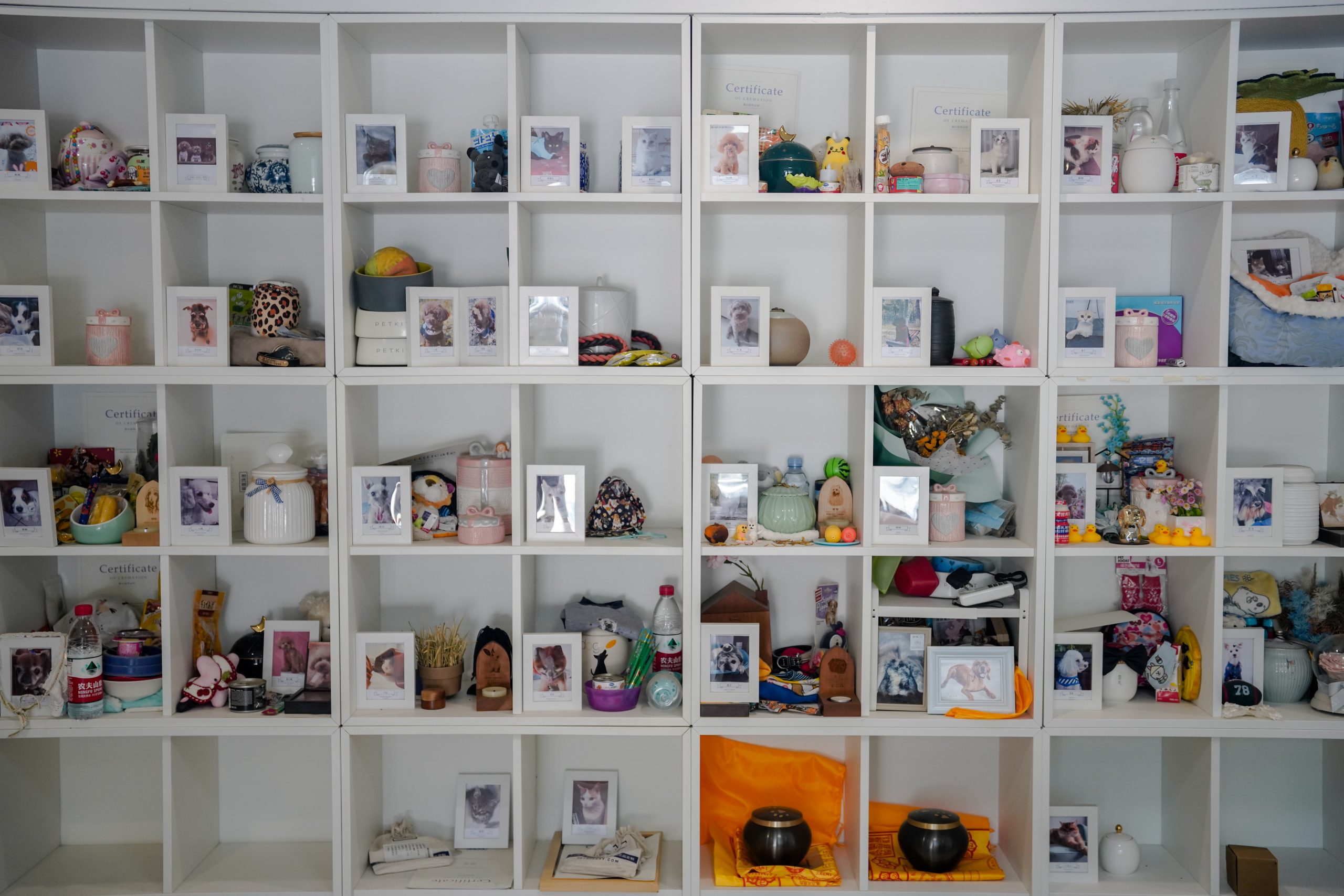 Último adiós a mascotas, negocio en auge en China Último adiós a mascotas, negocio en auge en China