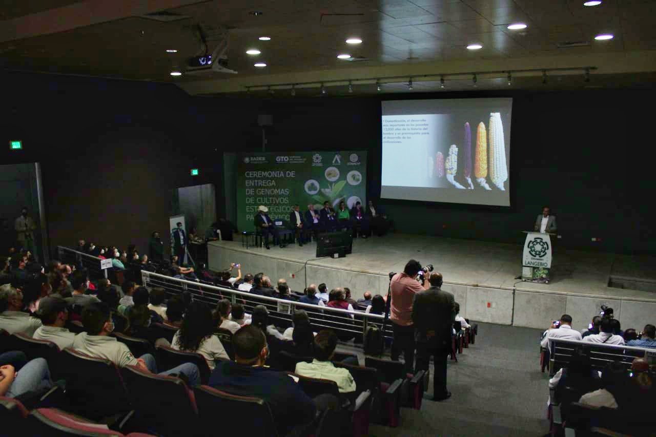 México recibe información genómica de cinco cultivos estratégicos México recibe información genómica de cinco cultivos estratégicos