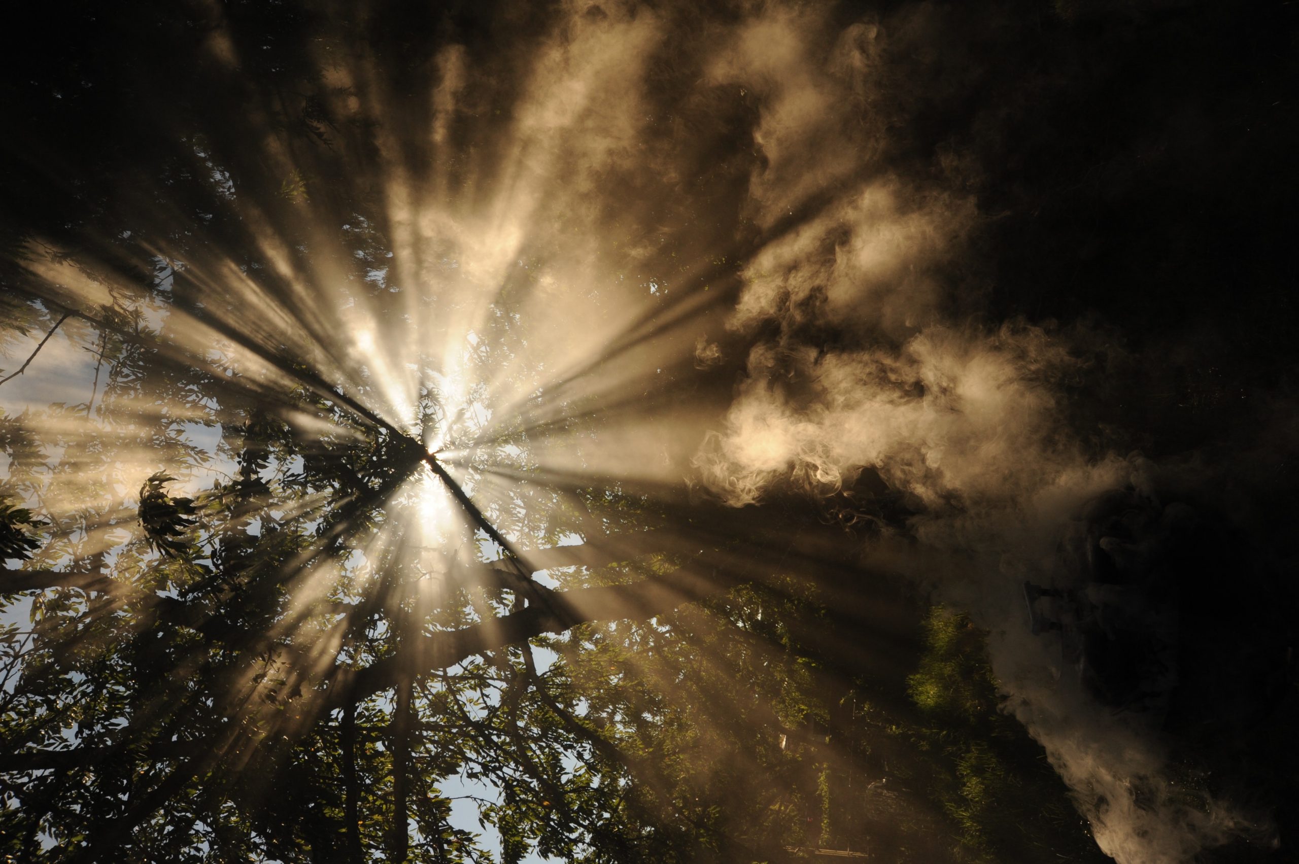 Superar una época de pérdidas