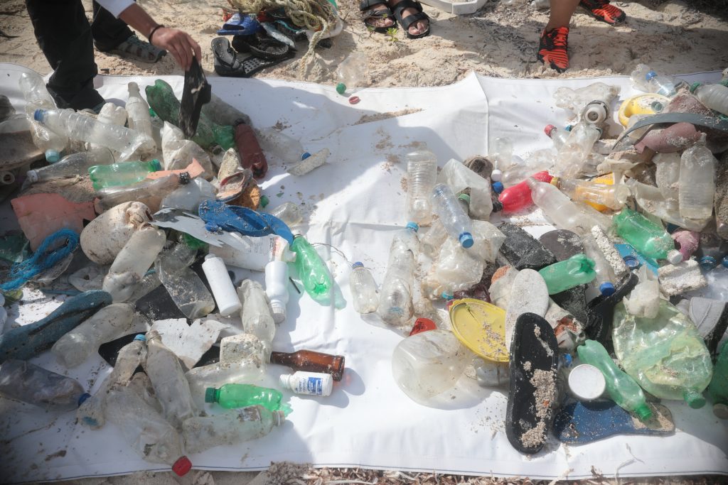 BBVA y Ectagono unen fuerzas para restaurar ecosistemas en México: Cozumel - 2m1a1512-1024x683