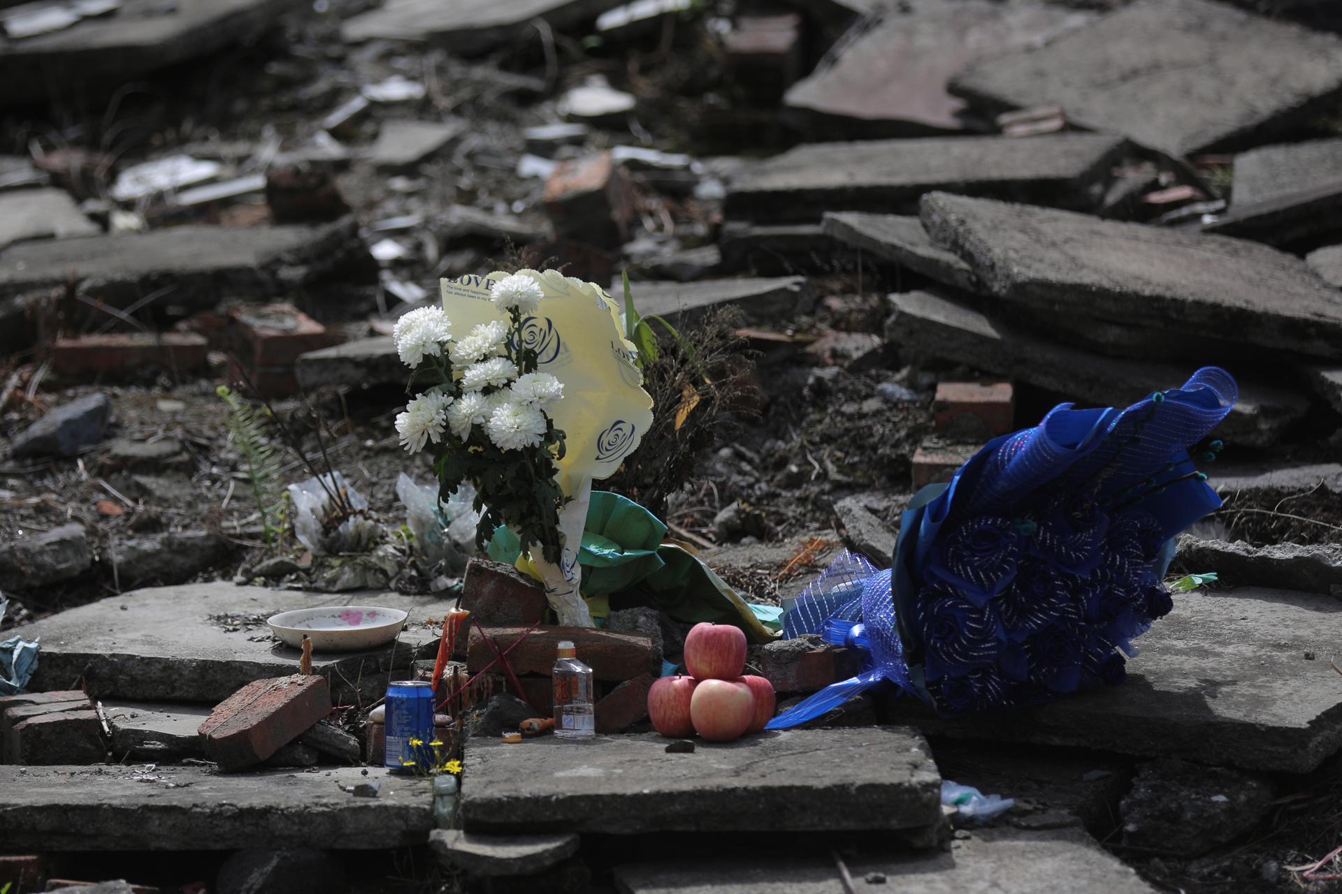 Asciende a 74 el número de fallecidos por el terremoto en el centro de China