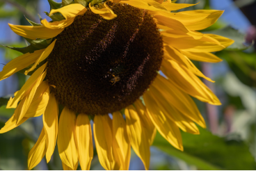 BBVA y Ectagono unen fuerzas para restaurar la Barranca de Tarango en CDMX - b3