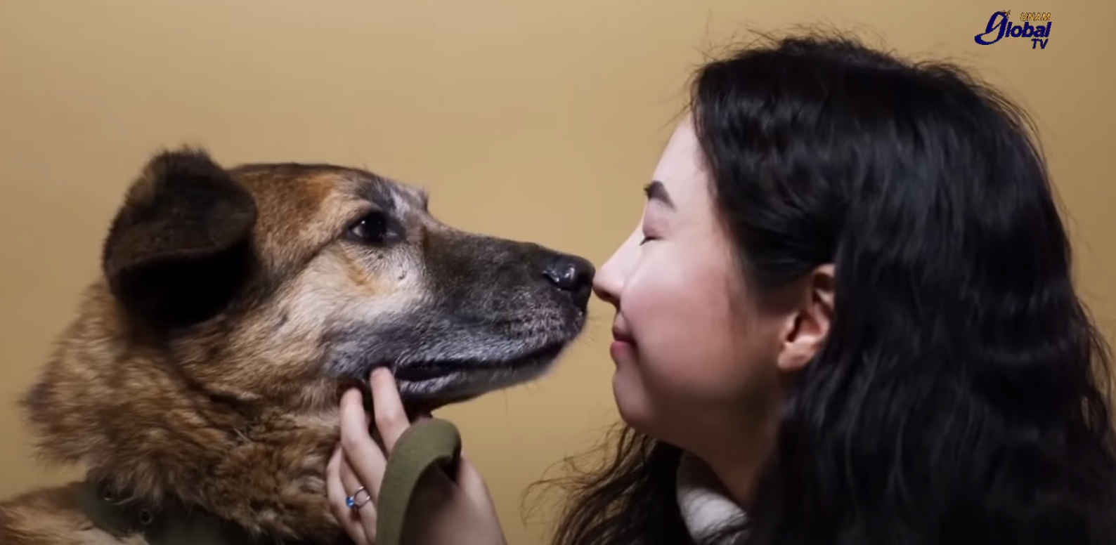 Mantener la vacunación de perros contra la rabia para reducir la circulación de este virus