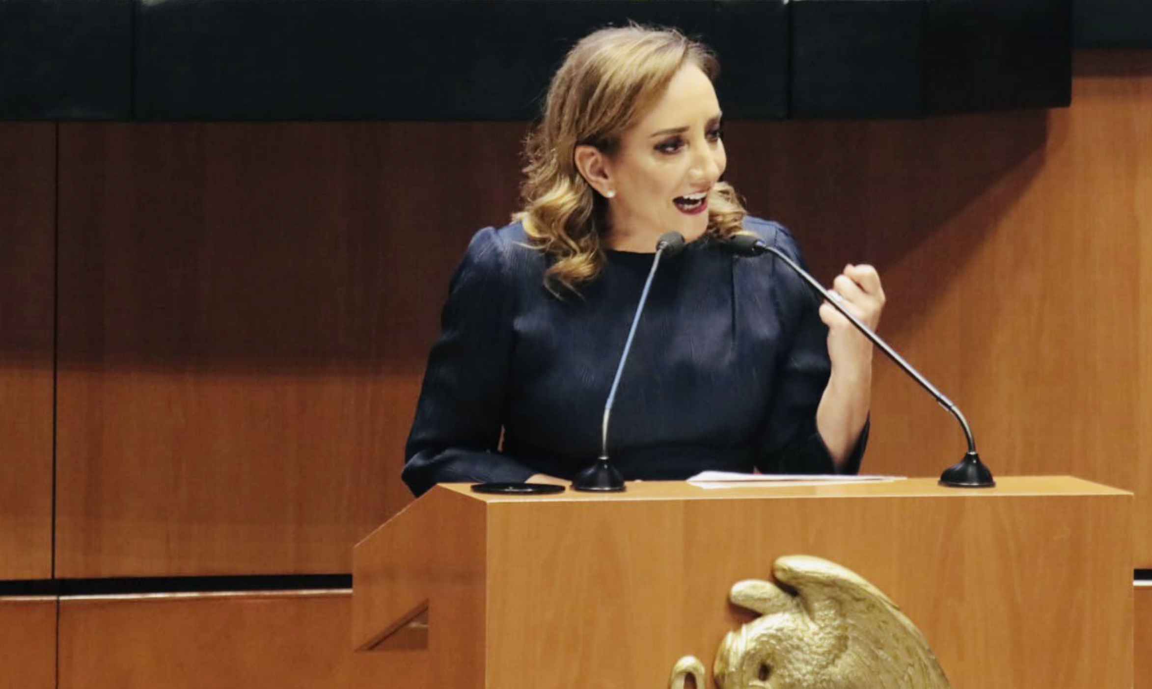 “Como oposición nos mantendremos firmes”, asegura Claudia Ruiz Massieu “Como oposición nos mantendremos firmes”, asegura Claudia Ruiz Massieu