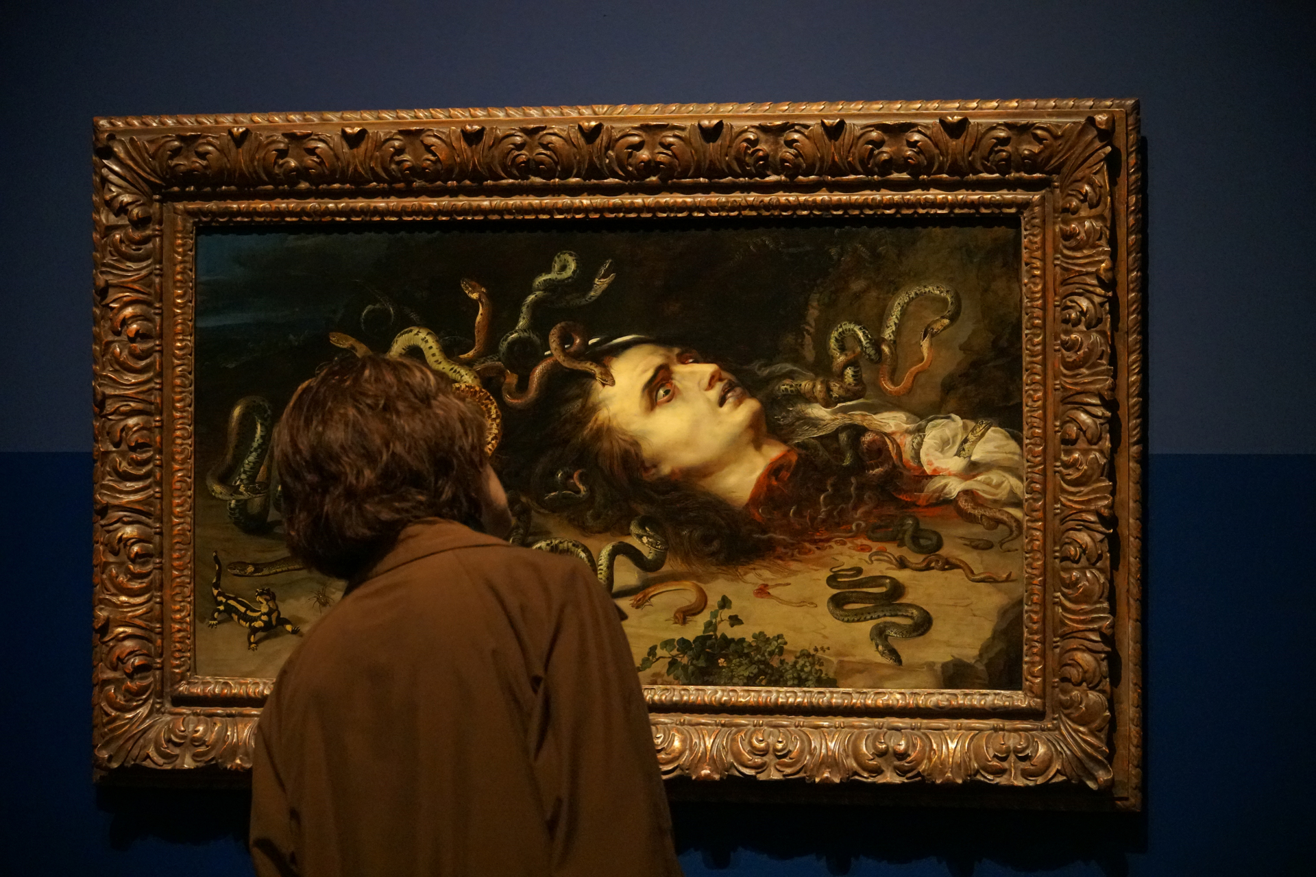 Entre bellas y espeluznantes, las criaturas que toman Rijksmuseum este otoño