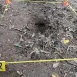 Acusan “desastre forense sin precedentes” en M&eacute;xico por fosas clandestinas y comunes