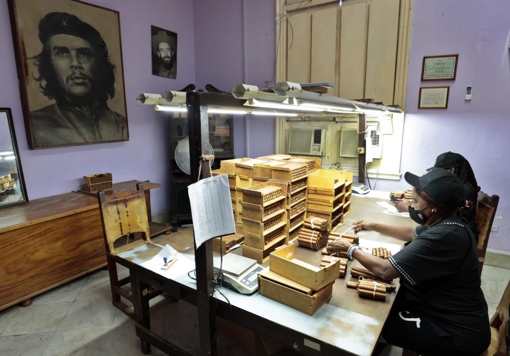 Habanos celebra 55 años de su marca Cohiba con un crecimiento en sus ventas - habanos-celebra-55-anos-de-su-marca-cohiba-con-un-crecimiento-en-sus-ventas-1024x716