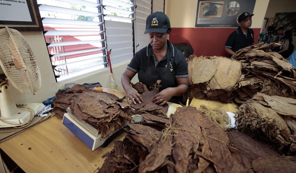 Habanos celebra 55 años de su marca Cohiba con un crecimiento en sus ventas - habanos-celebra-55-anos-de-su-marca-cohiba-con-un-crecimiento-en-sus-ventas-2-1024x601