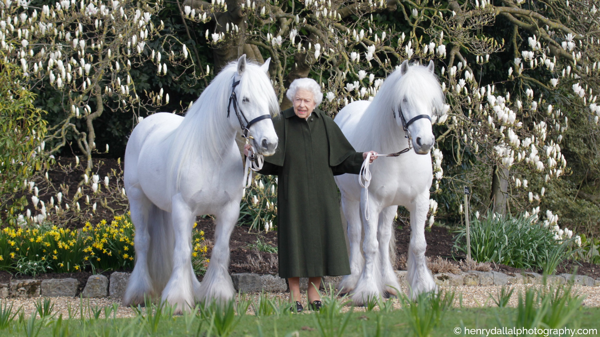 Isabel II, eterna enamorada de los caballos Isabel II, eterna enamorada de los caballos