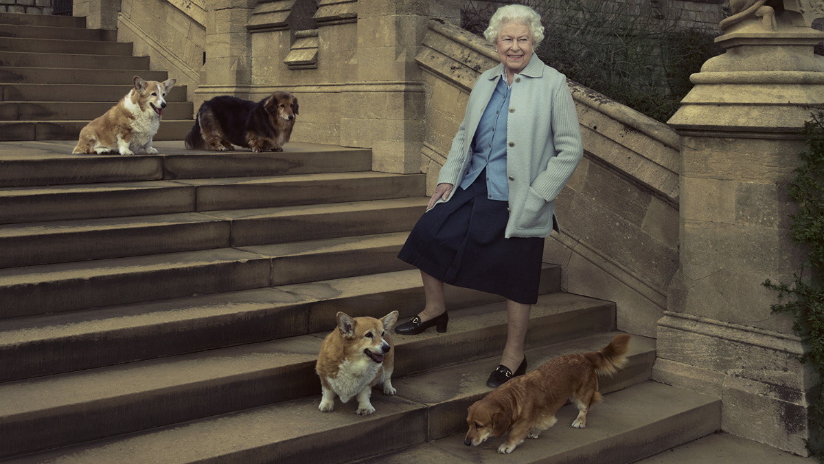 ¿Quién se quedará con los corgis de la reina Isabel II?