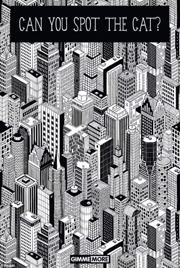 #RetoViral Encuentra al gato entre muchos edificios - reto-viral-gato-1-689x1024