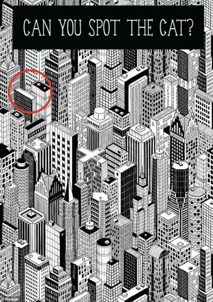 #RetoViral Encuentra al gato entre muchos edificios - reto-viral-gato-2-722x1024