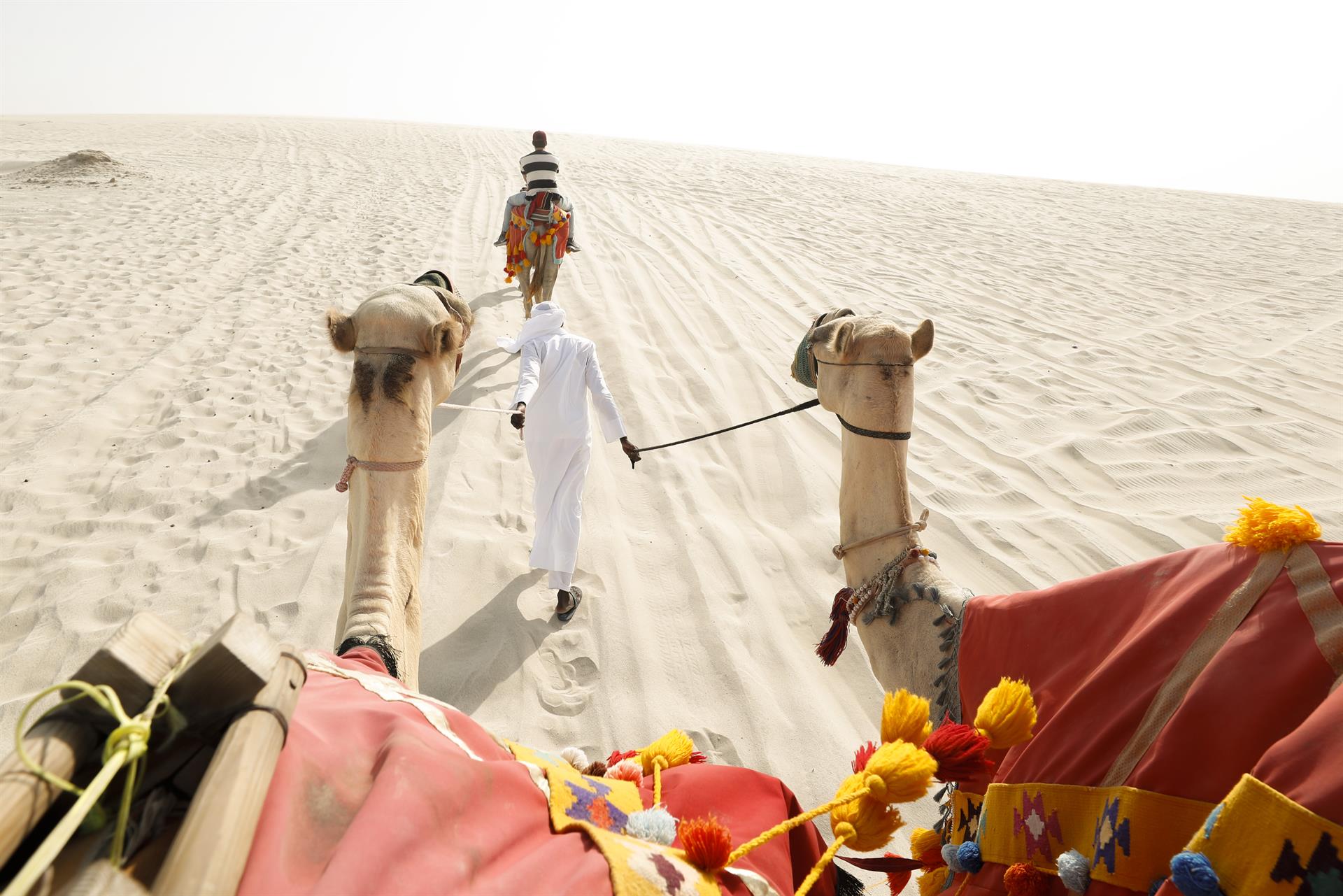 #FOTOS Dunas blancas y adrenalina, ingredientes del desierto en Qatar #FOTOS Dunas blancas y adrenalina, ingredientes del desierto en Qatar