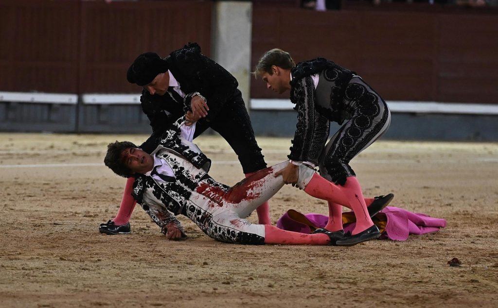 El torero Ángel Sánchez con heridas de pronóstico reservado por cornada - 8f31ad10191585c4f3d187c1bb3e9905b2d5ec2cw-1024x634
