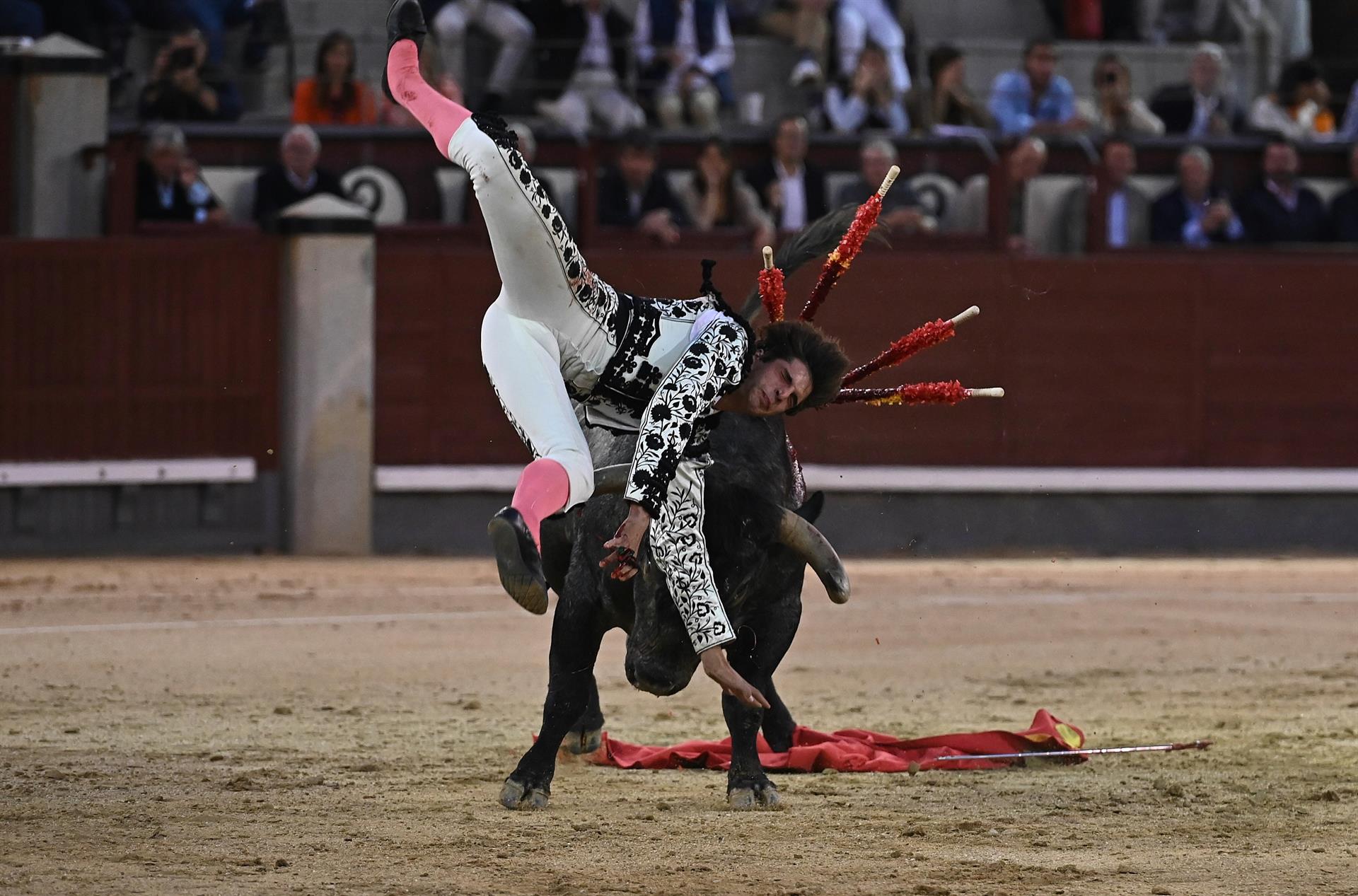 El torero Ángel Sánchez con heridas de pronóstico reservado por cornada